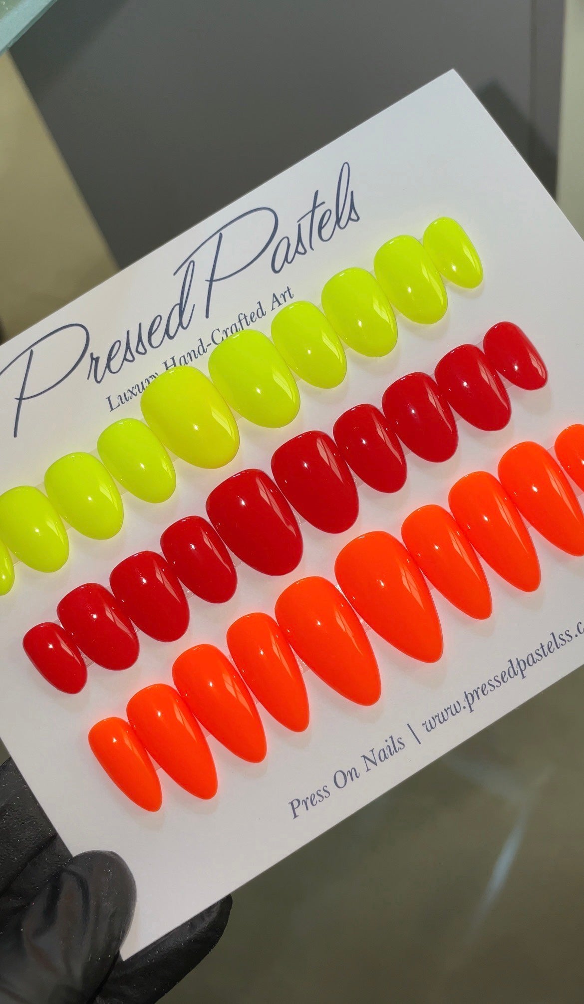 Color Pop Bundle - Medium & Short ONLY